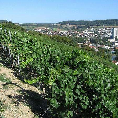 Weinstube Schwalbennest Otel Karlstadt Dış mekan fotoğraf