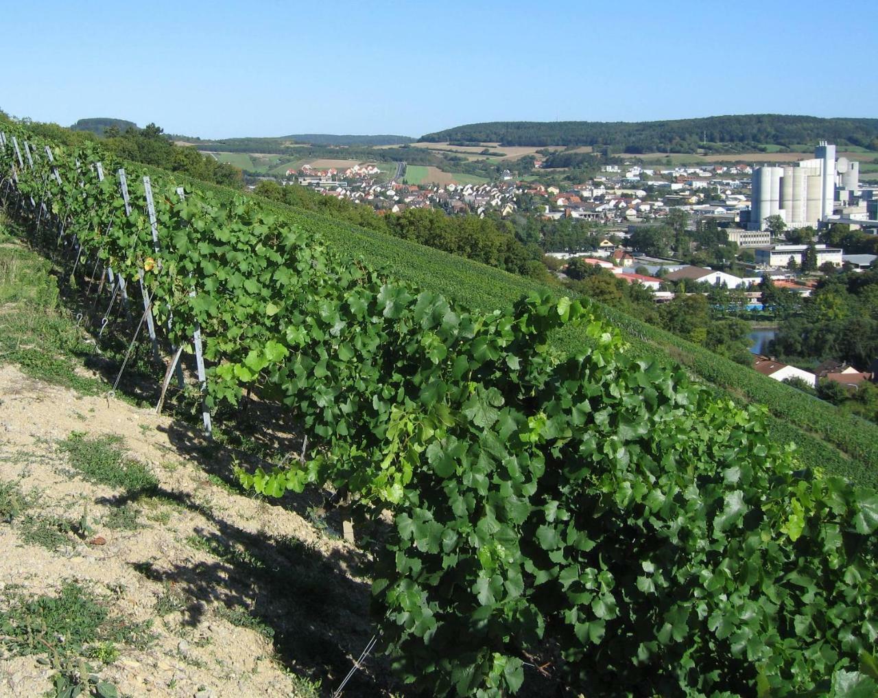Weinstube Schwalbennest Otel Karlstadt Dış mekan fotoğraf