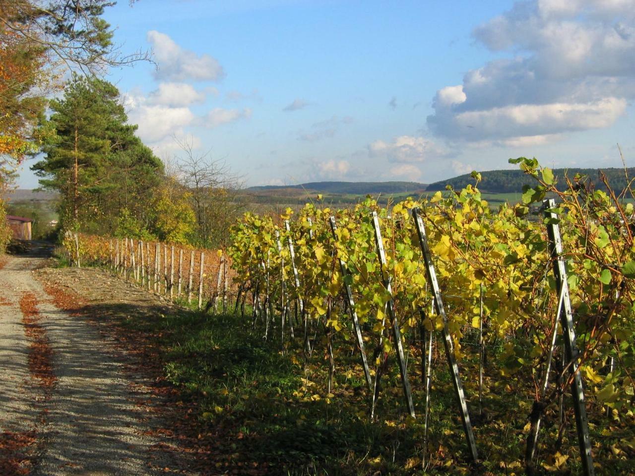Weinstube Schwalbennest Otel Karlstadt Dış mekan fotoğraf